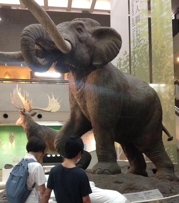 恐竜展見学中