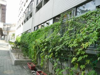 P1030873.JPG