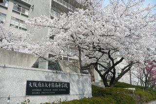 P1050544.JPG