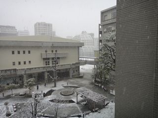 20140214snow01.JPG