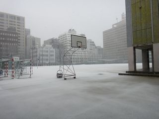 20140214snow04.JPG