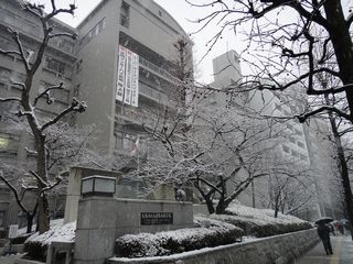 20140214snow06.JPG