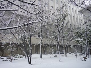 20140214snow07.JPG