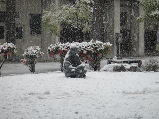 20140214snow08.JPG