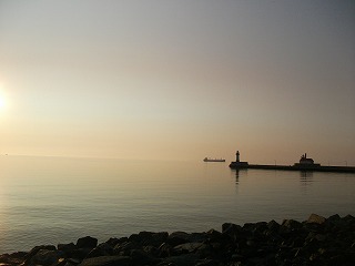 DSCF8004.jpg