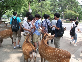 naraaikido2014 047.jpg