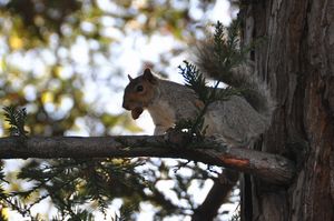 DSC_0387.JPG