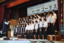 DSC_0541.JPG