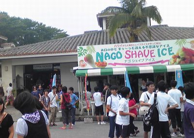 SH350015.jpg