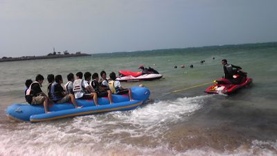 SH350019.jpg