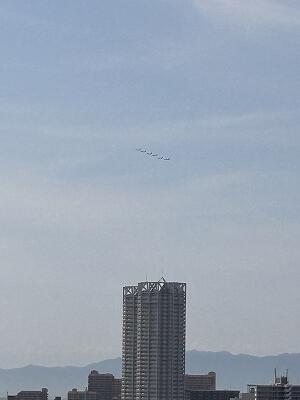 IMG_7532.jpg