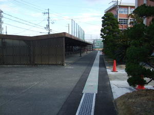 DSCF0503.JPG