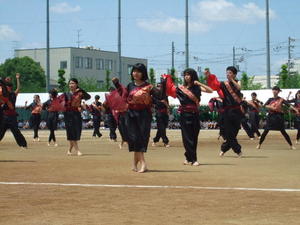 DSCF3170.JPG