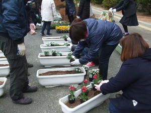 DSCF4740.JPG