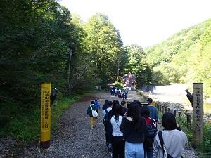 DSC04437.JPG