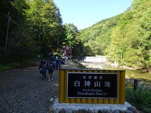 DSC04440.JPG