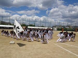 DSC06154.JPG