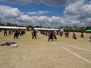 DSC06184.JPG
