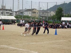 DSC08981.JPG