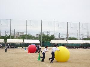 DSC09055.JPG