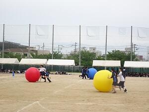 DSC09070.JPG