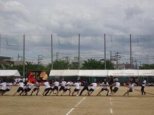 DSC09227.JPG