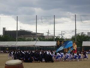 DSC09331.JPG