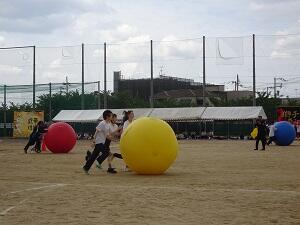 DSC09409.JPG