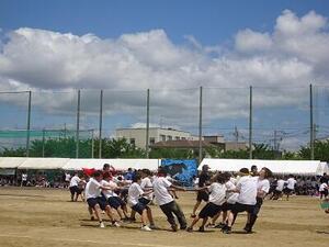 DSC02949.JPG
