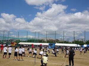 DSC02980.JPG
