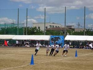 DSC02994.JPG