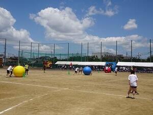 DSC03028.JPG
