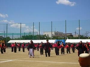 DSC03131.JPG