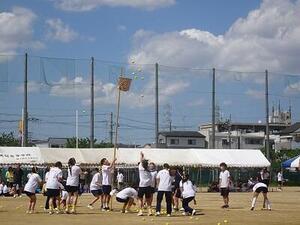 DSC03184.JPG