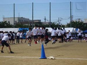 DSC03250.JPG