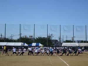 DSC03265.JPG