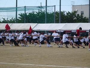 DSC03270.JPG