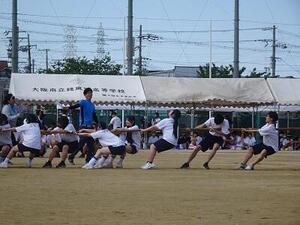 DSC03271.JPG