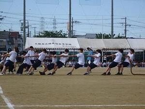 DSC03278.JPG