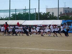 DSC03279.JPG