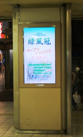 DSC00435.JPG