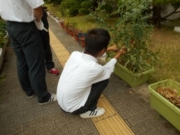 DSCN0817.JPG