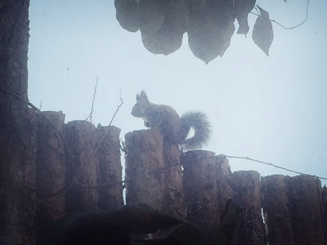 20141030_032153000_iOS.jpg