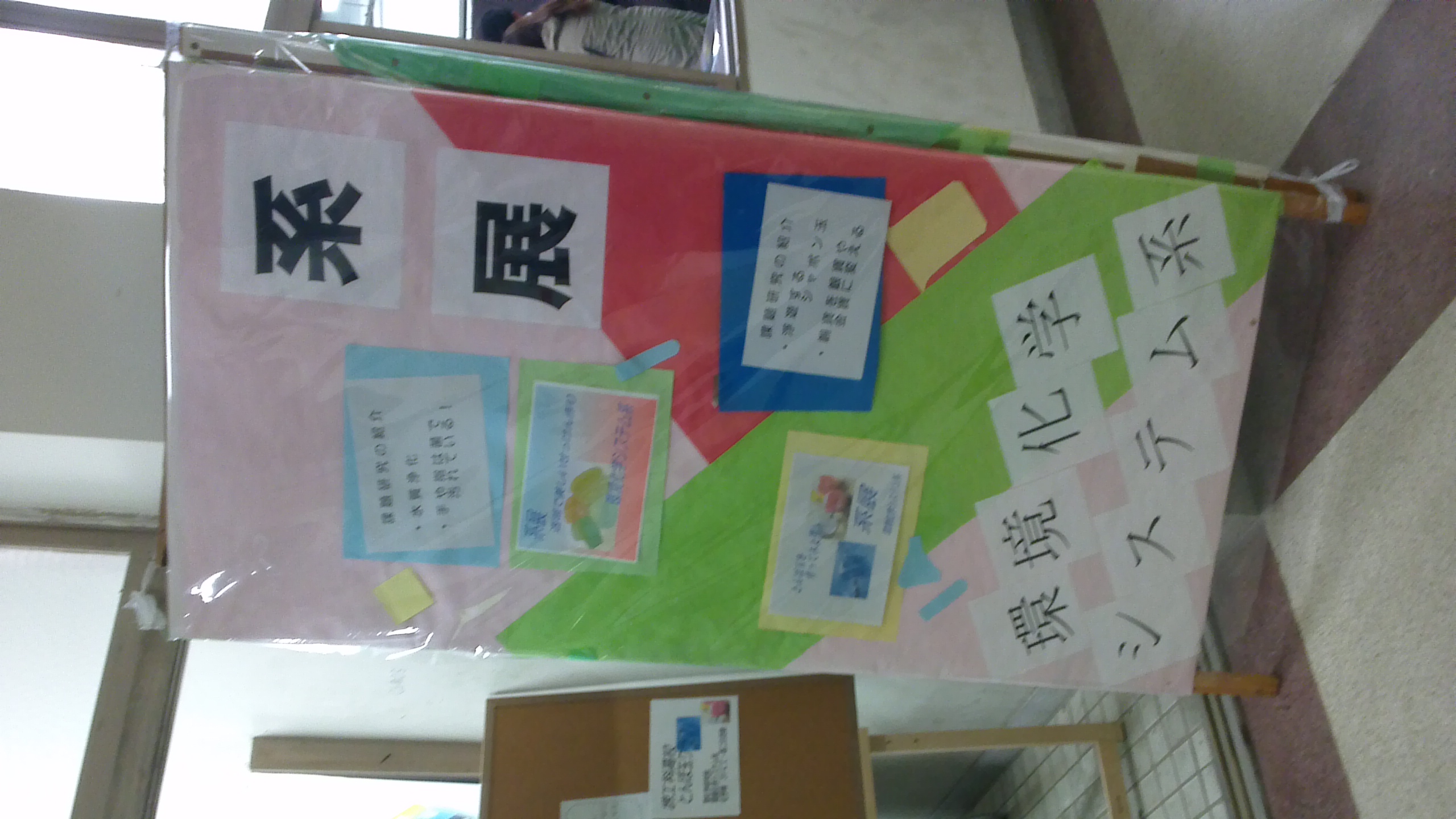 WIN_20141115_103931.JPG