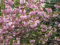 05.JPG