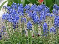 06.JPG