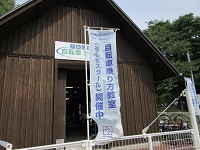 109.JPG