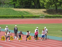13.JPG
