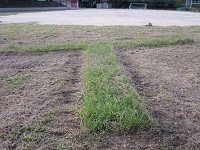 135.JPG