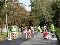 165.JPG